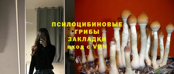 ешки Магас