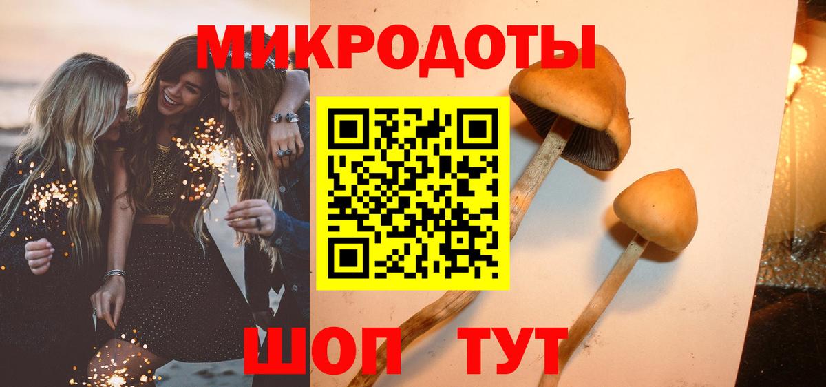 Галлюциногенные грибы Psilocybine cubensis  Вход с VPN  Чебаркуль 