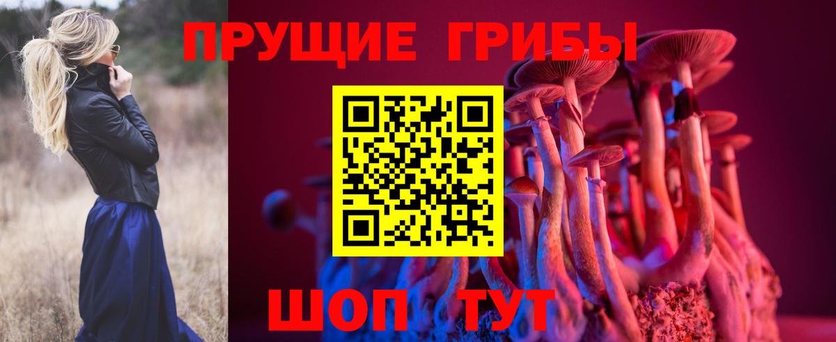 Псилоцибиновые грибы мухоморы Чебаркуль